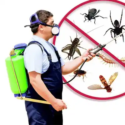 pest control East Rutherford